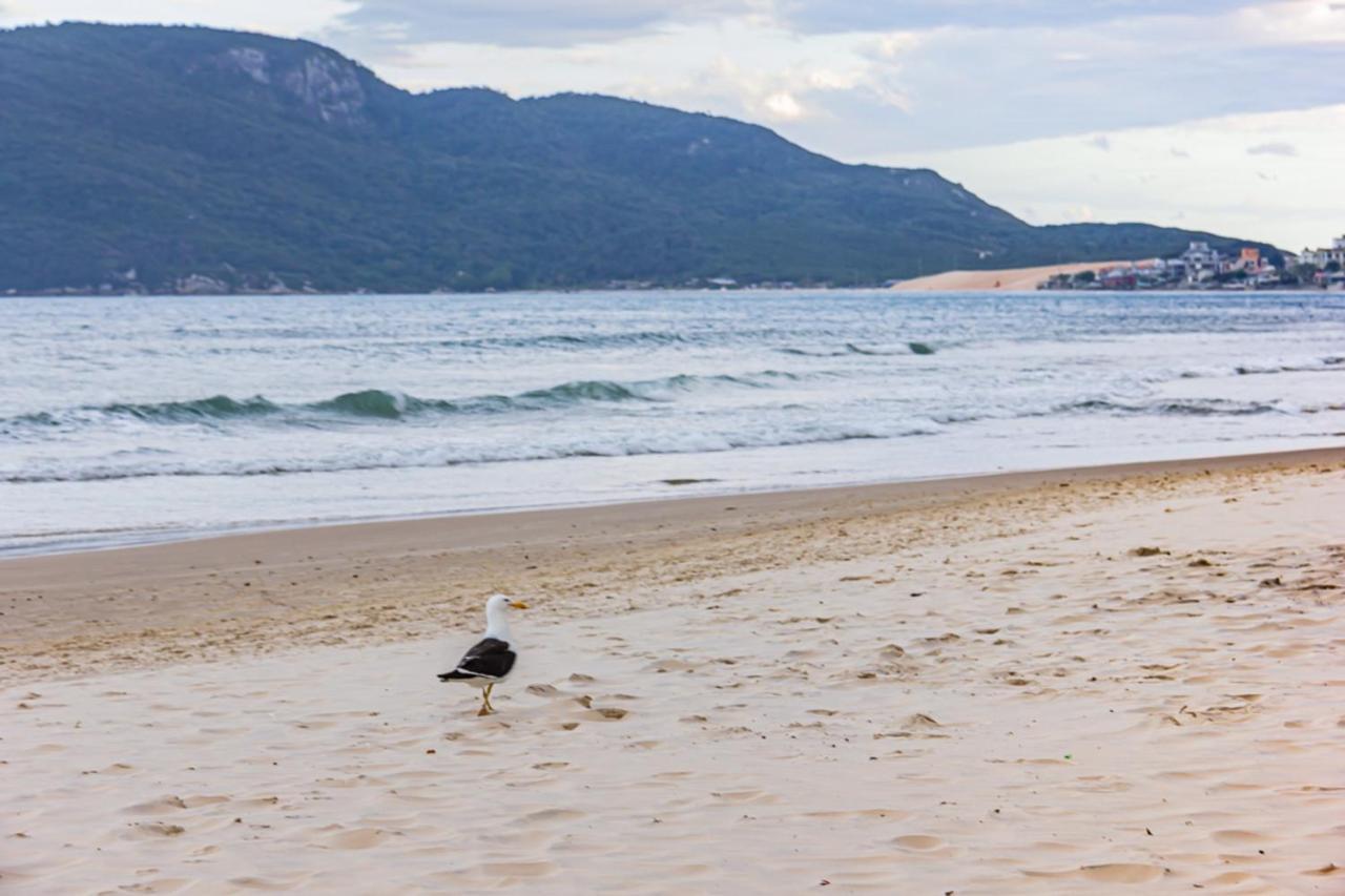 Cobertura Com Vista Mar Para 6 Hospedes, 150 Metros Da Praia Dos Ingleses Ing17 Флорианополис Экстерьер фото